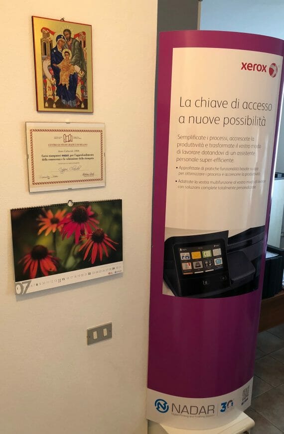 Echinacee presso Nadar Albiate, luglio 2018